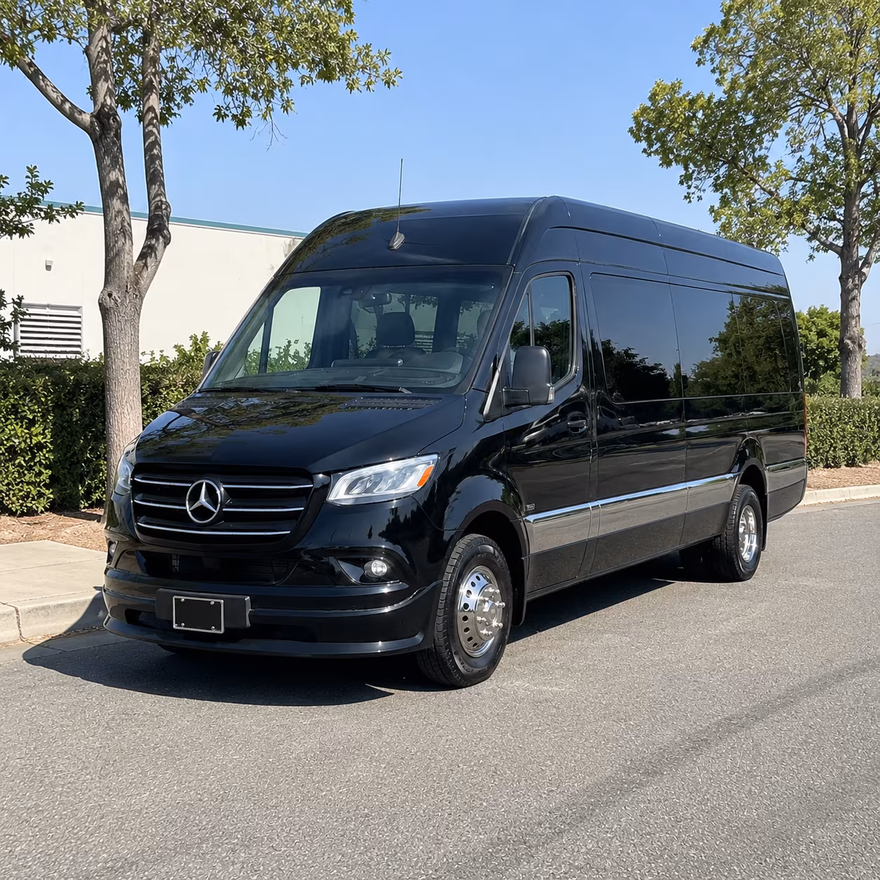citrus heights turn up the fun with citrus heights prom bus rentals