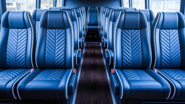 15 passenger minibus rental citrus heights
