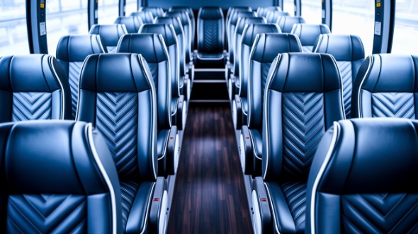20 passenger minibus inside citrus heights